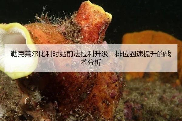 勒克莱尔比利时站前法拉利升级：排位圈速提升的战术分析